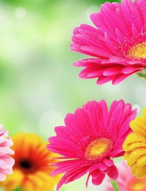 634x392_859177f66362175d2b31f398c8a7b164