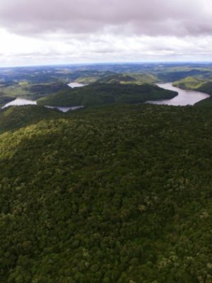 cf6b186c25f2f36410c4bc5f9d28c82e