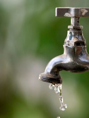 6d9f52_e237a889a8644772b28f093678a56685_mv2