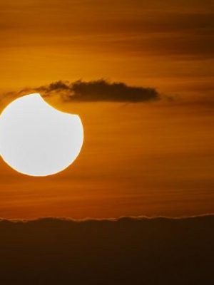 970x453_5600269177716c14e244d24c075b8537