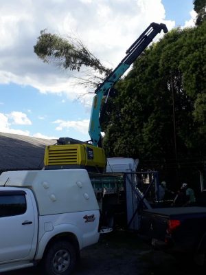 whatsapp-image-2020-12-08-at-17-21-33