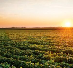 f0ed852290816d3188ce266810cf7dc7