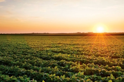 f0ed852290816d3188ce266810cf7dc7