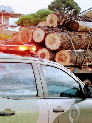 150596831_2807942359418412_1373770121118893392_n