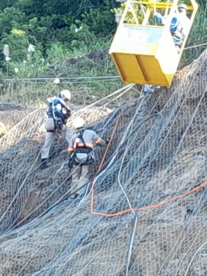 whatsapp-image-2021-02-11-at-10-39-27