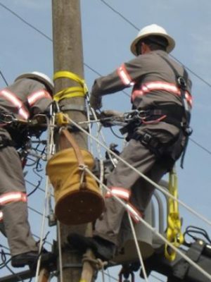 celesc-5efb8eef19519