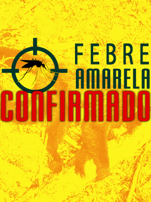 3021403_resize_700_400