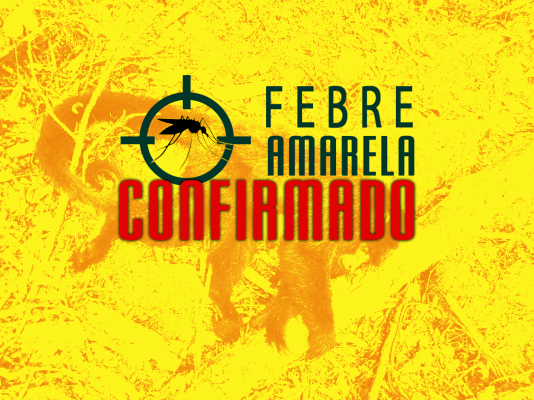 3021403_resize_700_400