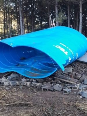 185437976_3997850386962014_8456503969949393232_n