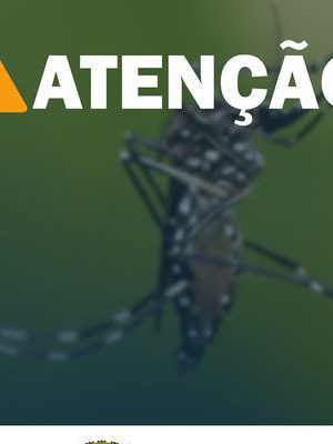 186459688_4227628723955007_7414469679822814335_n-526x400