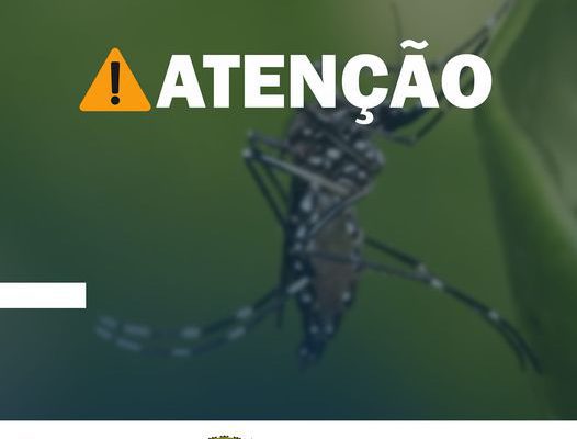 186459688_4227628723955007_7414469679822814335_n-526x400