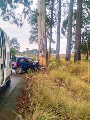 187849209_4016785038412164_4279183145817416766_n