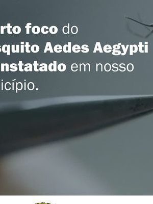 190638475_4253682998016246_1446980312656017066_n-526x400