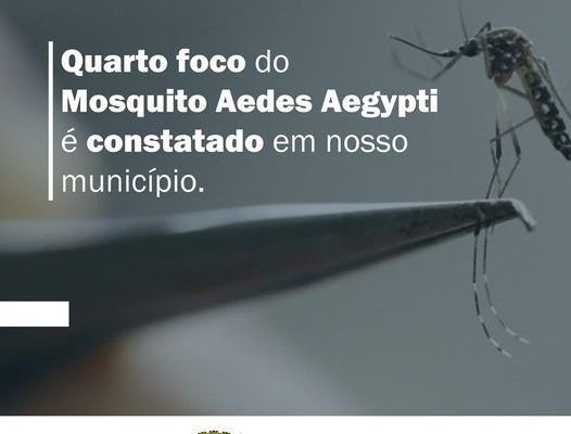 190638475_4253682998016246_1446980312656017066_n-526x400