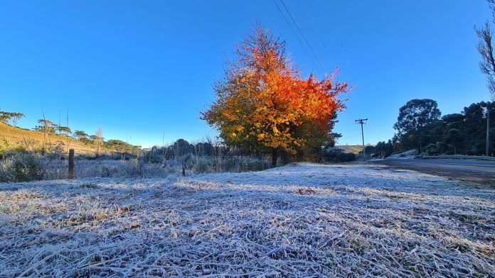 20210525_075104-01-e1621947365986