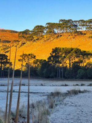 469cf220a17590399b90ce5508195ee8