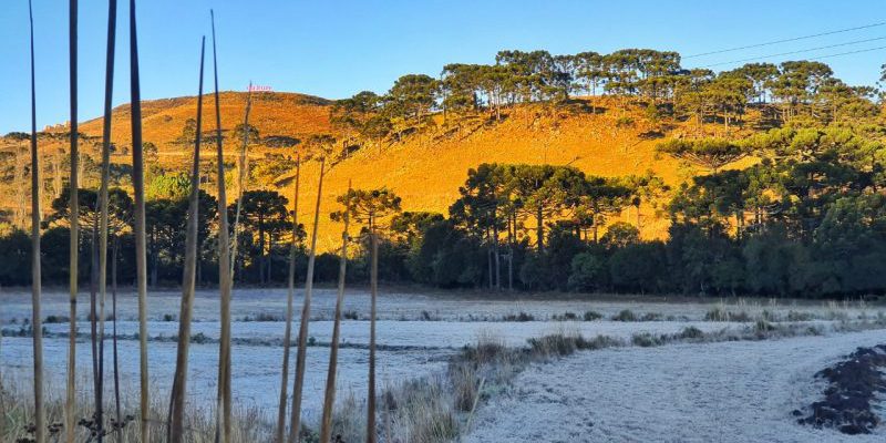 469cf220a17590399b90ce5508195ee8