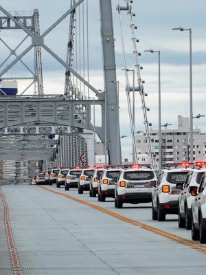 51172078287_2dc3278186_b