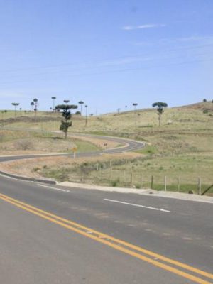 517250_resize_700_400