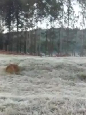 whatsapp-image-2021-05-19-at-08-29-41