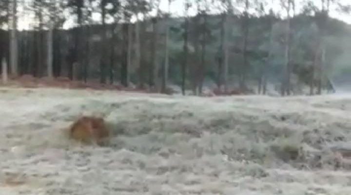 whatsapp-image-2021-05-19-at-08-29-41