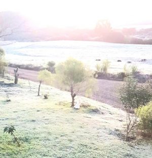 10004c1417379f30d101edf8f6150e10