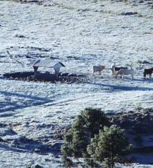 a0afc215-6513-436a-a350-b310df99c19a-540x330