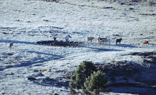 a0afc215-6513-436a-a350-b310df99c19a-540x330