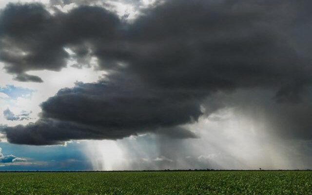 foto-pedro-silvestre-urucui-5-640x420