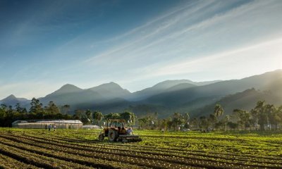 agricultura_agricultor__20201218_1519571754-2