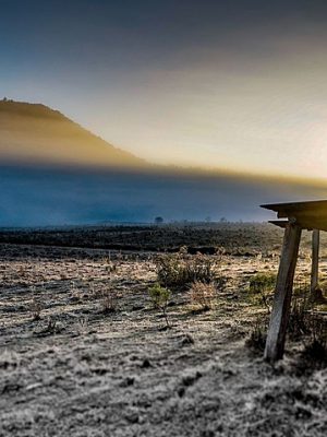 image_processing20200820-7169-mi1xwu