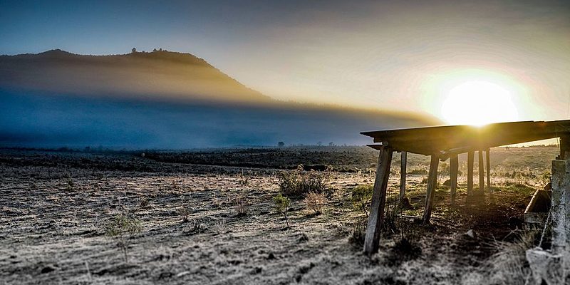 image_processing20200820-7169-mi1xwu