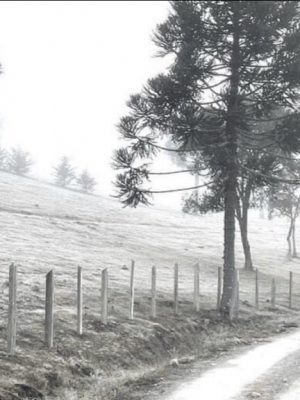 19468eb7-2061-45c6-a9e7-f9f89c0e7274