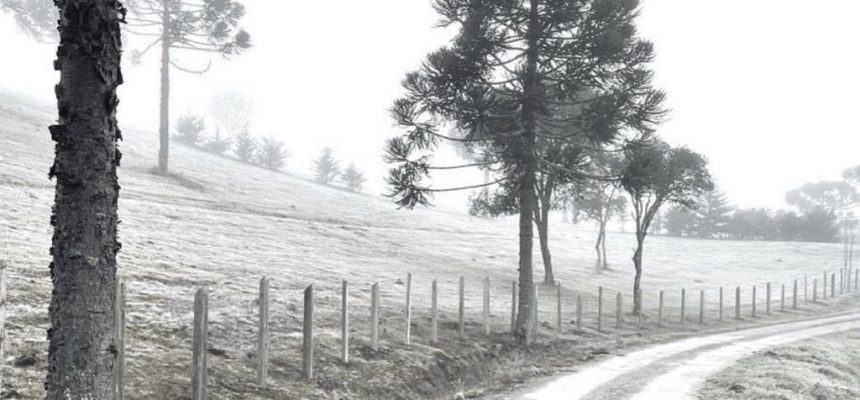 19468eb7-2061-45c6-a9e7-f9f89c0e7274