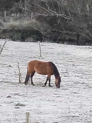 228694330_363953615088080_1608397866907990554_n