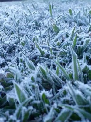 75def5c6-8b2b-4248-9bed-1a816410e1d0-860x400