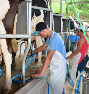 81d6e68de57591442e08b3dc55584e36