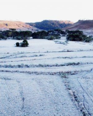 geada-sao-joaquim-14-800x450-47959-620x375m0