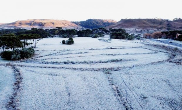 geada-sao-joaquim-14-800x450-47959-620x375m0