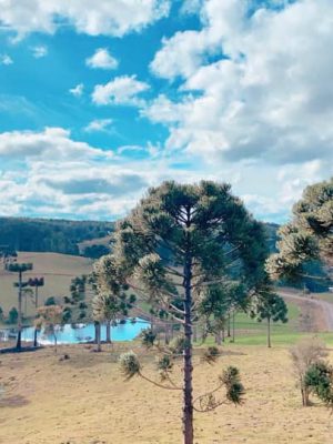 218410936_791178411563488_8825878838436968040_n