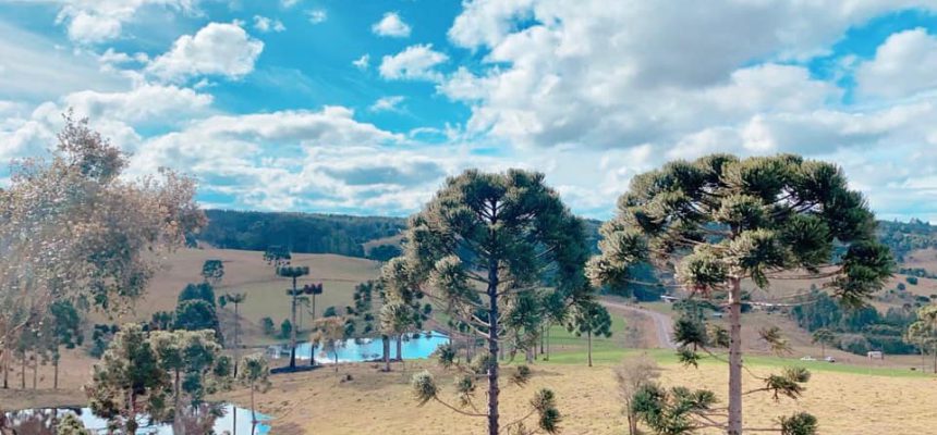 218410936_791178411563488_8825878838436968040_n