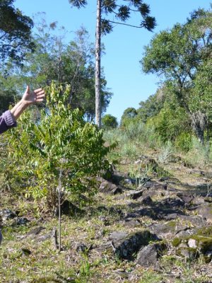 whatsapp-image-2021-08-05-at-11