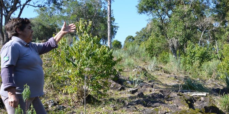 whatsapp-image-2021-08-05-at-11