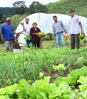 CARLOS ALBERTO/IMPRENSA-MG-Sedese