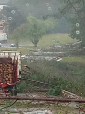 271939675_4805229592890752_2509715804171825451_n