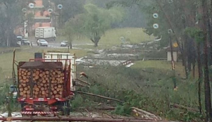 271939675_4805229592890752_2509715804171825451_n