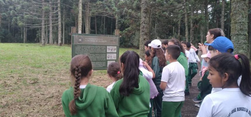 438164711_765394049026903_7182499432167646776_n