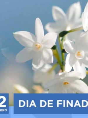 6a0b50d3-ee5a-4c8b-8f65-b10b00e7526c