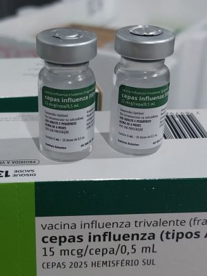 influenza20250326_140755