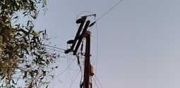 30f7db3e-ce7d-46c5-ac84-88be230e